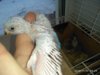 IMG_20191130_092952.jpg