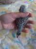 P_20191201_123738_vHDR_Auto.jpg