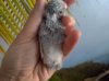 P_20191201_122039_vHDR_Auto.jpg