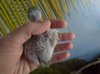 P_20191201_122132_vHDR_Auto.jpg