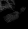 12.PNG