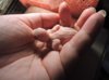 DSCN6775.JPG