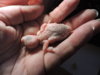 DSCN6842.JPG