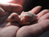 DSCN6843.JPG
