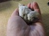 DSCN6872.JPG