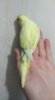 IMG-20191207-WA0027.jpg