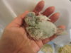 DSCN6923.JPG