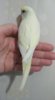 IMG-20191217-WA0026.jpg