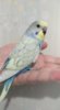 IMG-20191217-WA0028.jpg