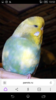 Screenshot_2019-12-19-10-52-08.png