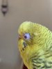 F2A80E51-8B0E-440A-97CA-AEBF045CCCCF.jpeg