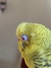A3D744A2-B1F2-4C5B-9409-7390879ED162.jpeg