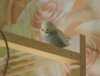 DSCN7052.JPG
