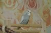 DSCN7061.JPG
