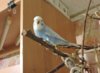 DSCN7088.JPG