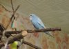 DSCN7097.JPG