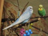 DSCN7111.JPG