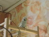 DSCN7105.JPG
