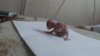 DSCF8191.JPG