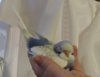 DSCN7126.JPG