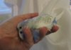 DSCN7128.JPG