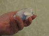 DSCN7134.JPG