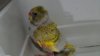 DSCF8226.JPG