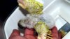 DSCF8229.JPG
