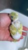 DSCF8233.JPG