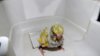 DSCF8236.JPG