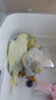 DSCF8331.JPG