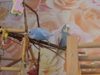 DSCN7461.JPG