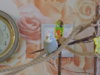DSCN7392.JPG