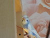 DSCN7495.JPG