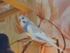 DSCN7497.JPG