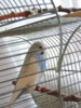 DSCN7400.JPG