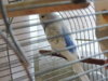 DSCN7410.JPG