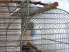 DSCN7425.JPG