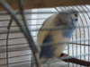 DSCN7430.JPG