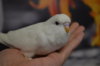 DSC_0737.JPG