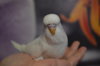 DSC_0744.JPG