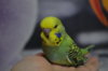 DSC_0653.JPG