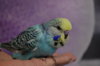 DSC_0684.JPG
