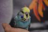 DSC_0716.JPG