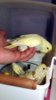DSCF8363.JPG