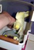DSCF8365.JPG