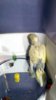 DSCF8369.JPG