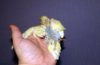 DSCF8386.JPG