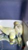 DSCF8397.JPG