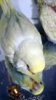 DSCF8402.JPG
